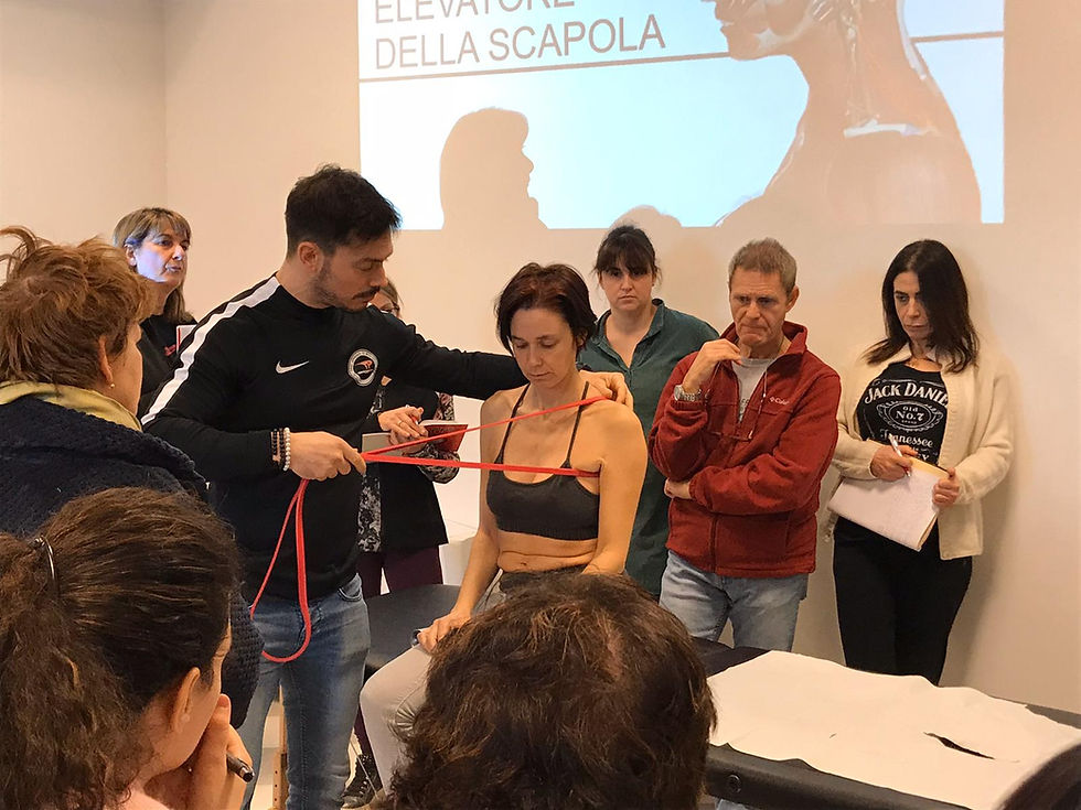 mobility trigger point italia