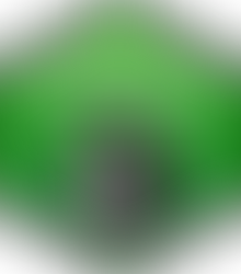 Irish teams for the European Girls’ Mathematical Olympiad Celebrated at the Women in Mathematics Day