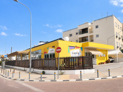 Giraffe's Road View