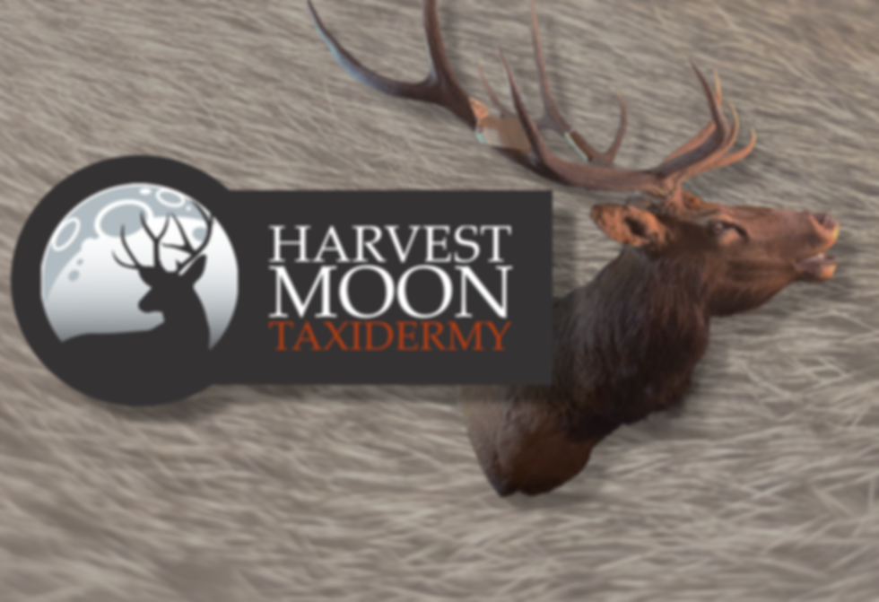 HM web header smaller.png