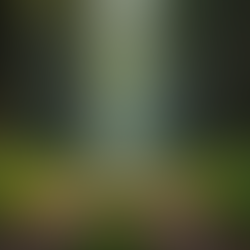 Understanding the Concept of 'Church in My Heart'