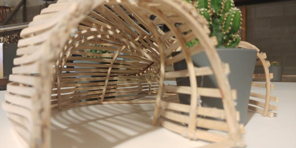 Flow Forms: A Study in Movement and Nature
