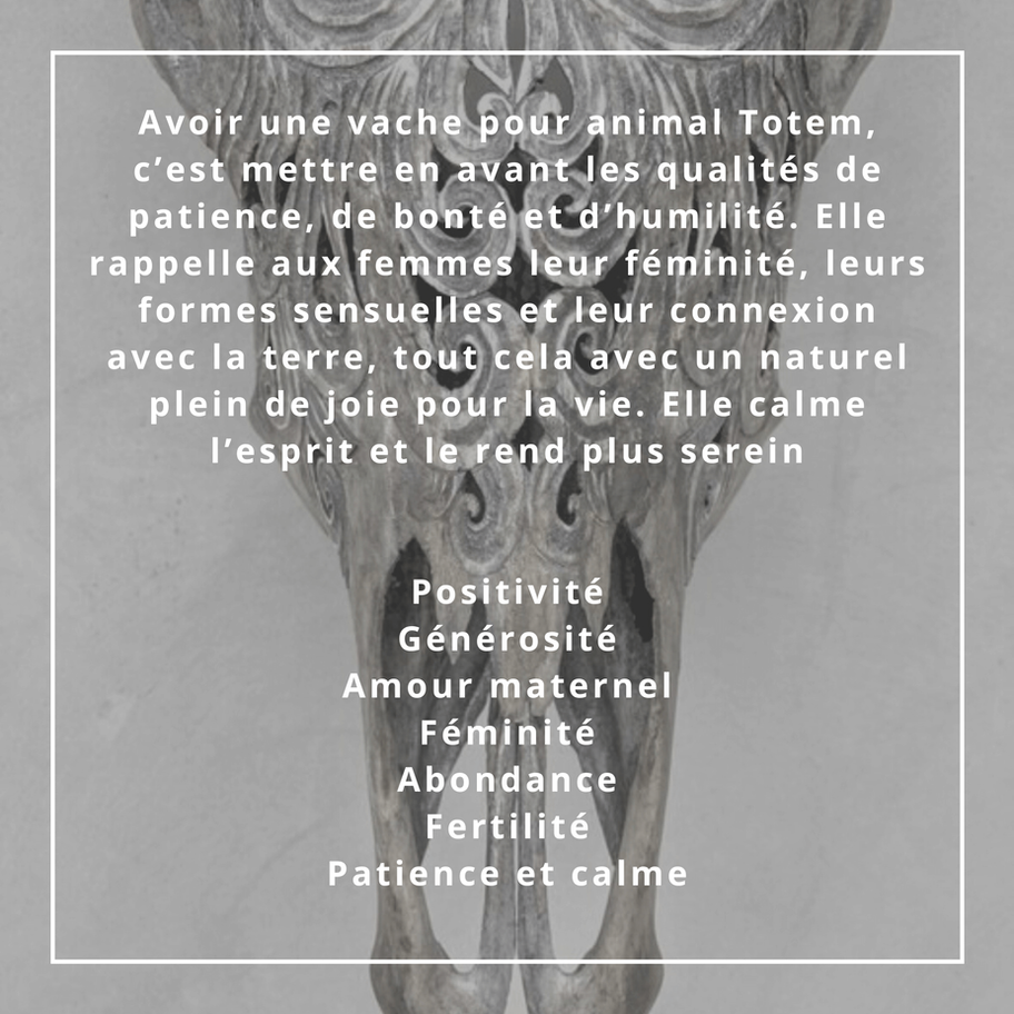 Véritable crâne de vache sculpté motif fleur de vie