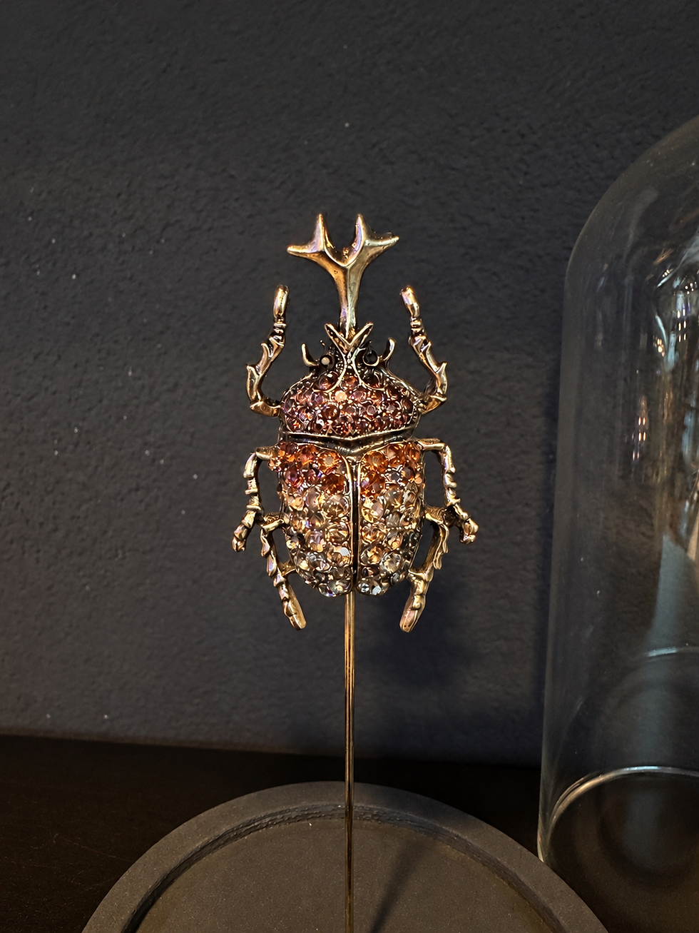 Insecte bijou ambré sous cloche en verre scarabée rhinocéros