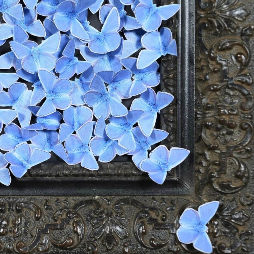 Nuée de papillons bleus