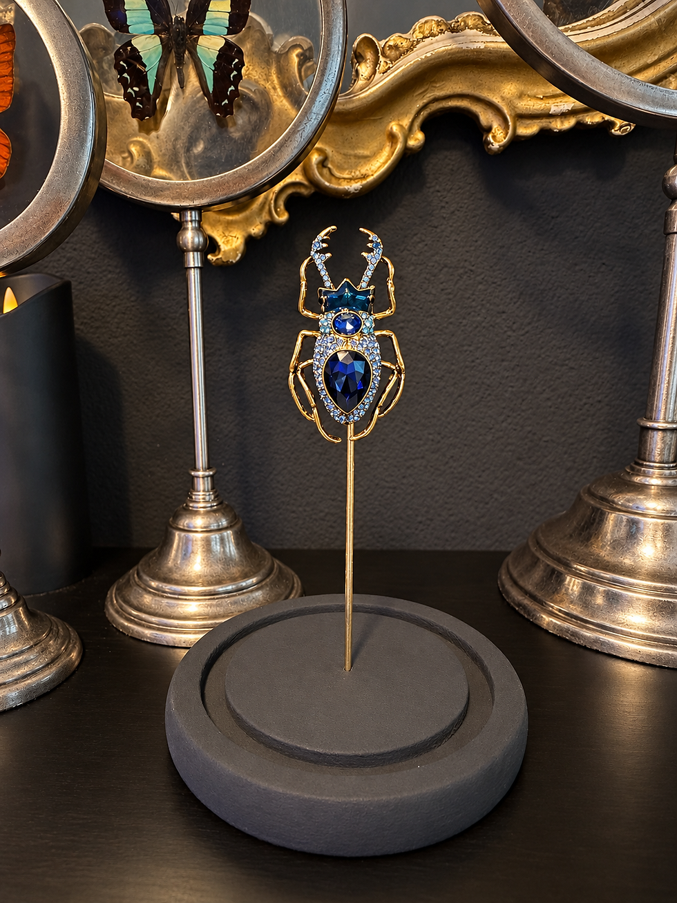 Insecte bijou bleu sous cloche en verre lucane cerf-volant