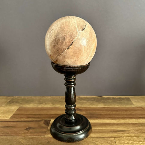 Sphère de bois fossilisé