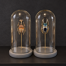 Insecte bijoux sous cloche_4.png