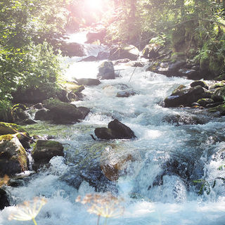  Wer sie nicht kennte, die Elemente,...