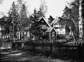N11642.tif