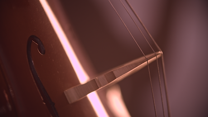 Close Cello with Bridge and 'F' Hole