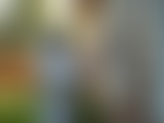 Choosing the Best Pest Control in Miami