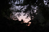 background image of a sunset at Runyon Canyon
