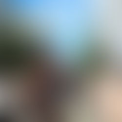 Meet Your Art Festival 2024 Opens Tennozu Isle to a New Era of Cross-Disciplinary Art