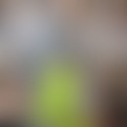 någonstans 2026 Spring/Summer Collection at Rakuten Fashion Week TOKYO