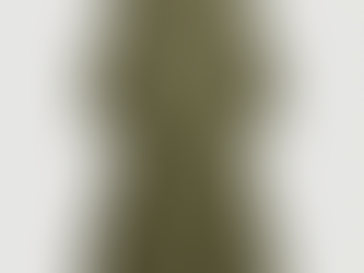 SHEIN MOD Plus Size Herringbone Pattern Cinched Waist Dress Flowy Dress