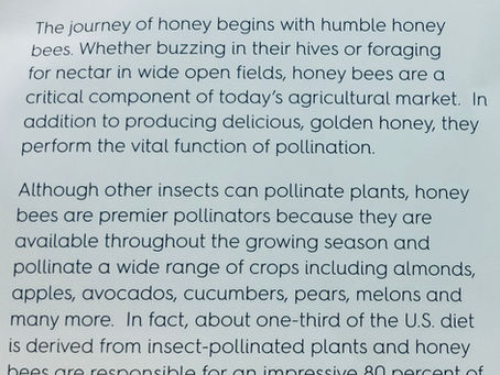 Have you ever stopped to to think about what’s in a bottle of honey?