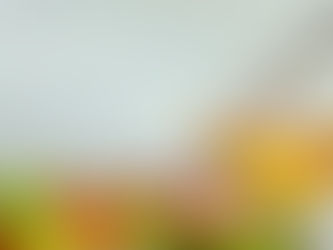 Start the day with honey 🍯