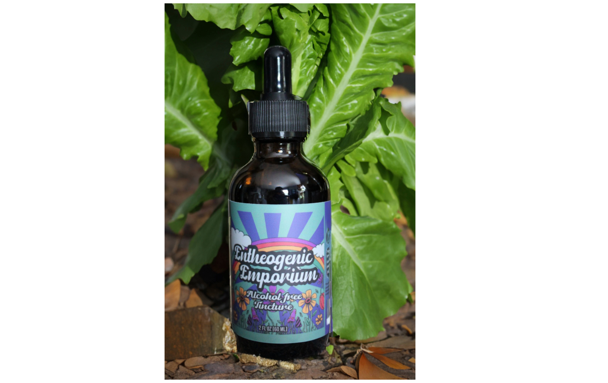 Dark glass dropper bottle of alcohol-free tincture with illustrated label, set against green leafy foliage.