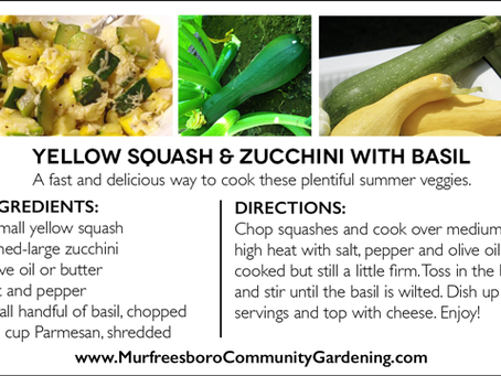 Recipe: Yellow Squash & Zucchini with Basil