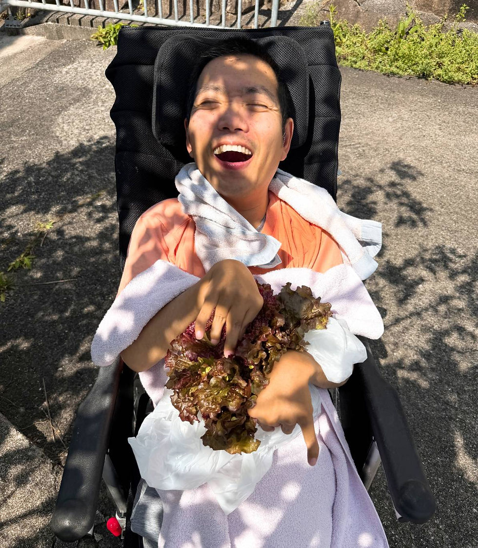 採れたての野菜を、いつもの食事にプラスして、美味しくいただいています🧑‍🍳