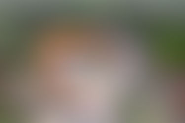 House of Nature wins Platinum Award London Design Awards