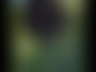 New installation “Les gouttes d'Ursel” 