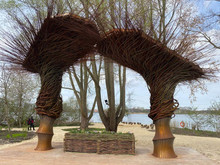 will-beckers-into-the-woods-02