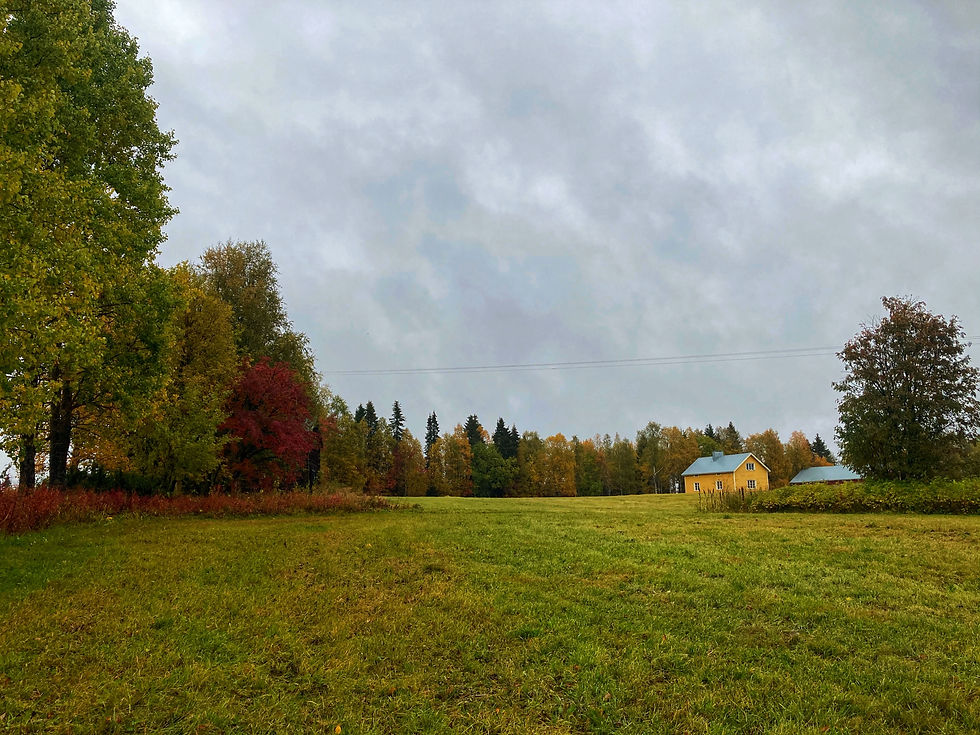 A yellow house across a field in autumn