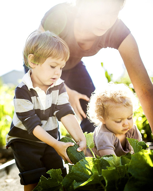 Family Gardening Together