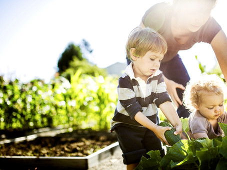 Top 5 Ways to Empower Children to Tackle the 21st Century Environmental Burden We're Leaving Them