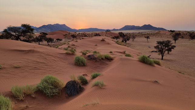 2021-09-12 18.33.15.jpg