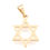 תמונה ממוזערת: תליון מגן דוד מוזהב עשוי מפלדת אל חלד