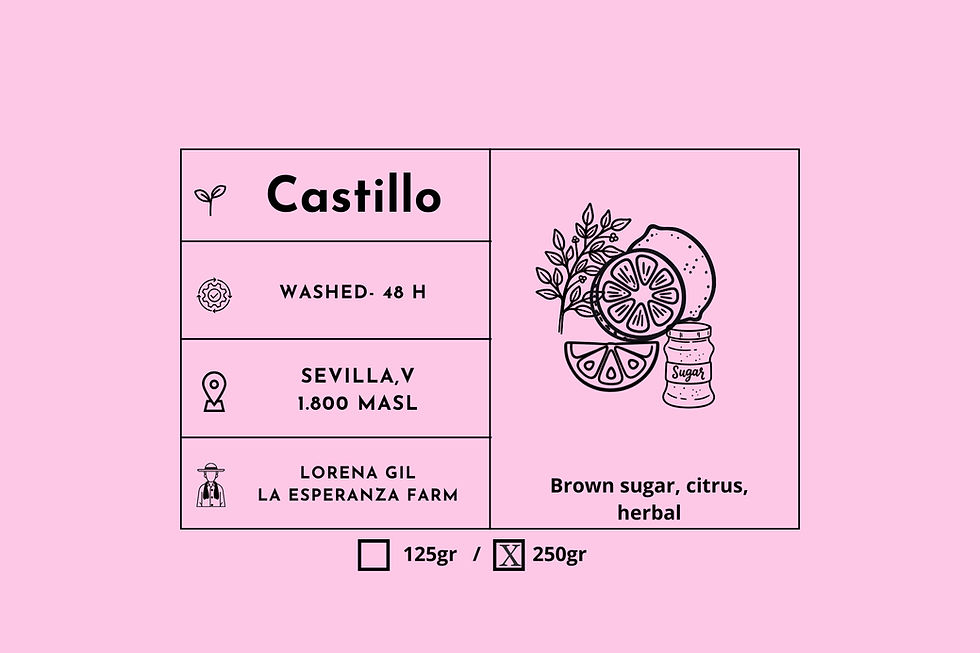 Miniatura: Castillo, Lavado, 250gr