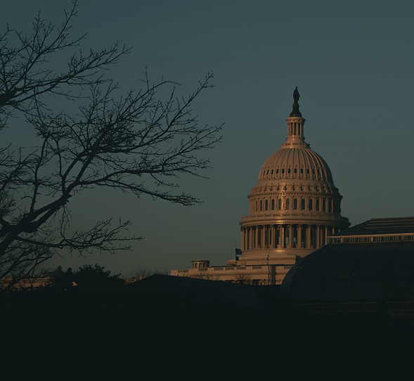 mayer-tawfik-nokJ6MYG3ls-unsplash.png
