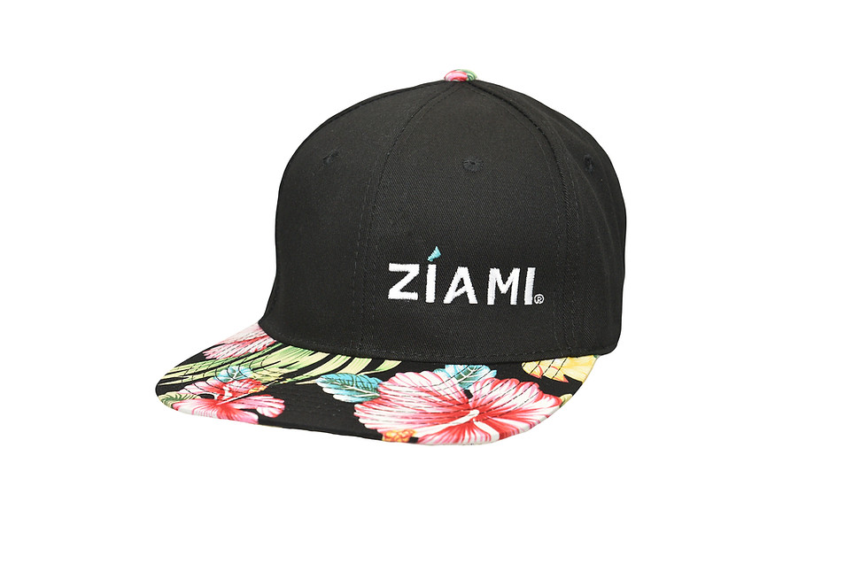 Thumbnail: Snapback