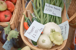 GCAA-Show-2025-150-LowRes