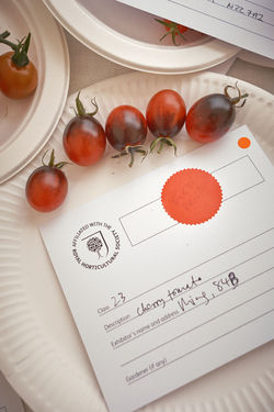 GCAA-Show-2025-217-LowRes