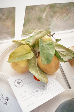 GCAA-Show-2025-116-LowRes