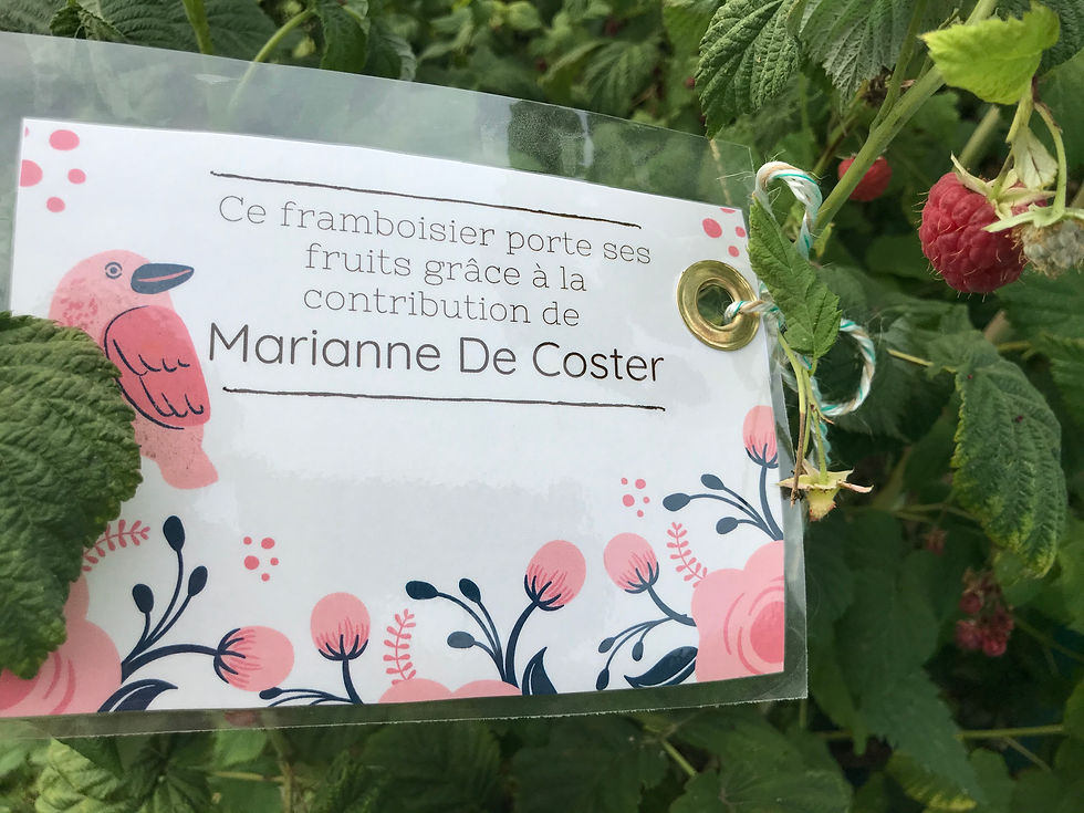 marianne de coster