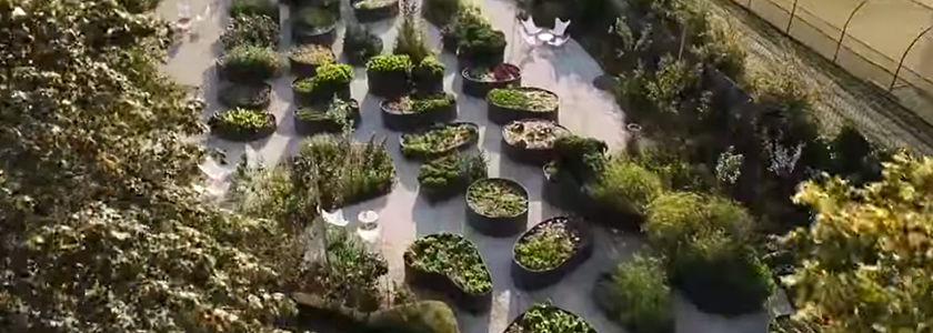 Bacs dans un ensemble et dans un jardin qui se trouve au le chalet Good