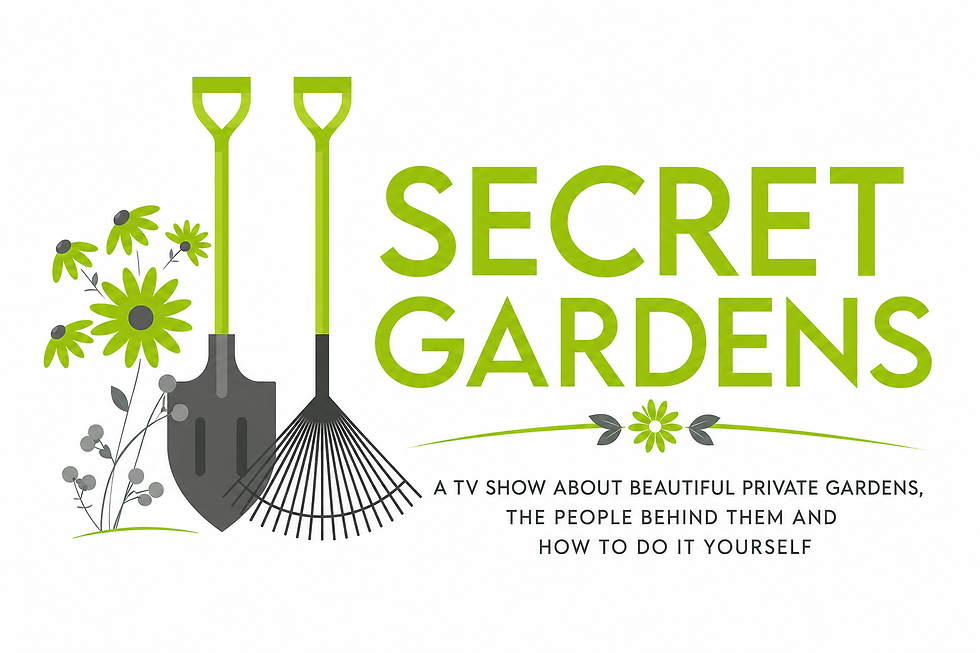 LOGO DRAFT.png