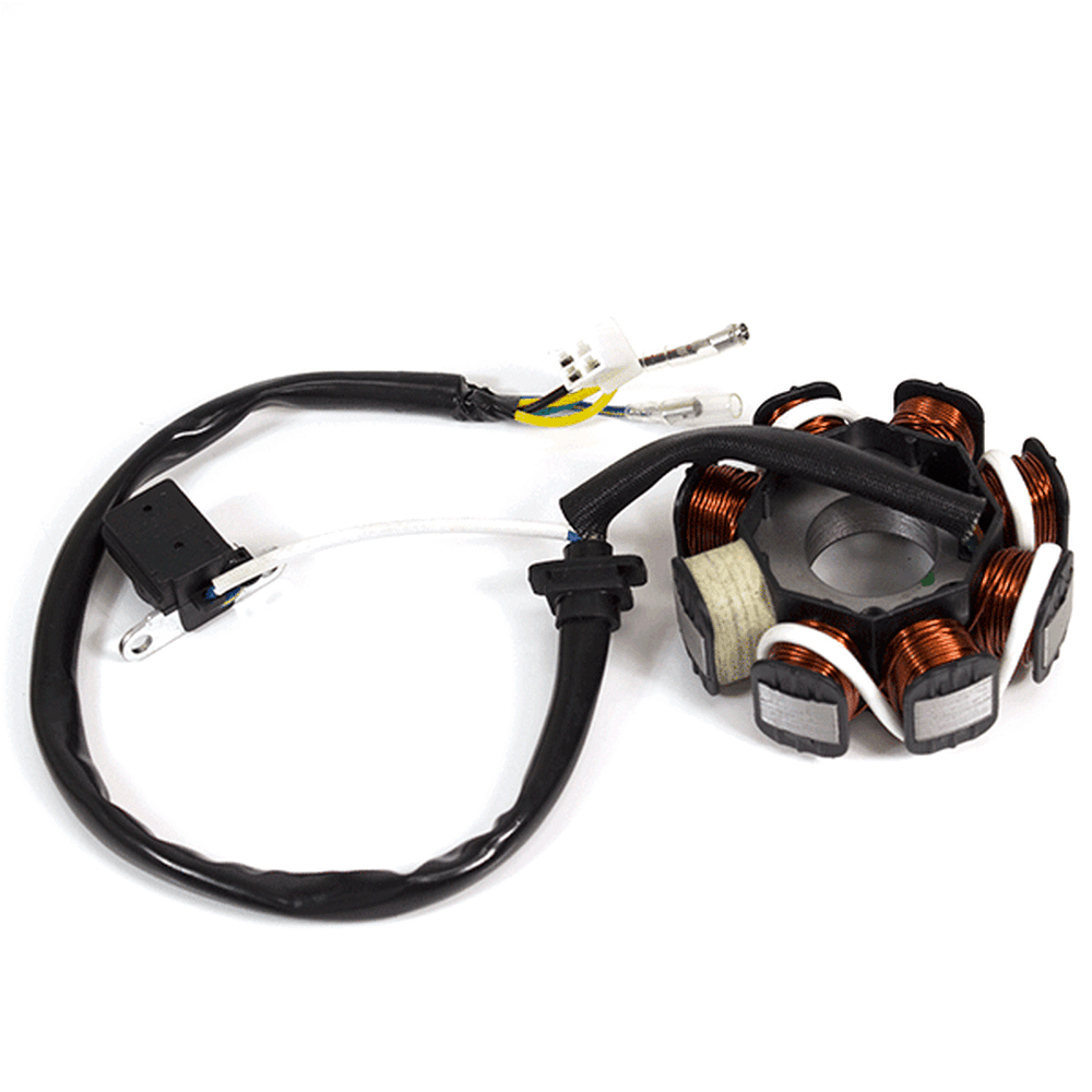 ROYAL ALLOY GP AC 12V STATOR PLATE 
