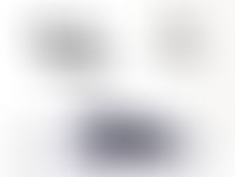 2024年販売の予定のご案内