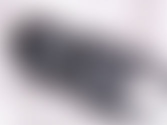 ☆商談可【25本店ストック成虫】No.1 KXX8.3-LB