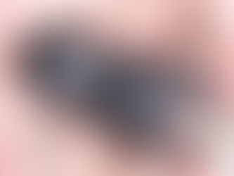 ☆譲渡済☆【24本店ストック成虫No.49】GX50-yyii8.1F➁