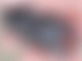 ☆残念ながら死亡☆【24本店ストック成虫No.48】極限突破GX50-X(U2)