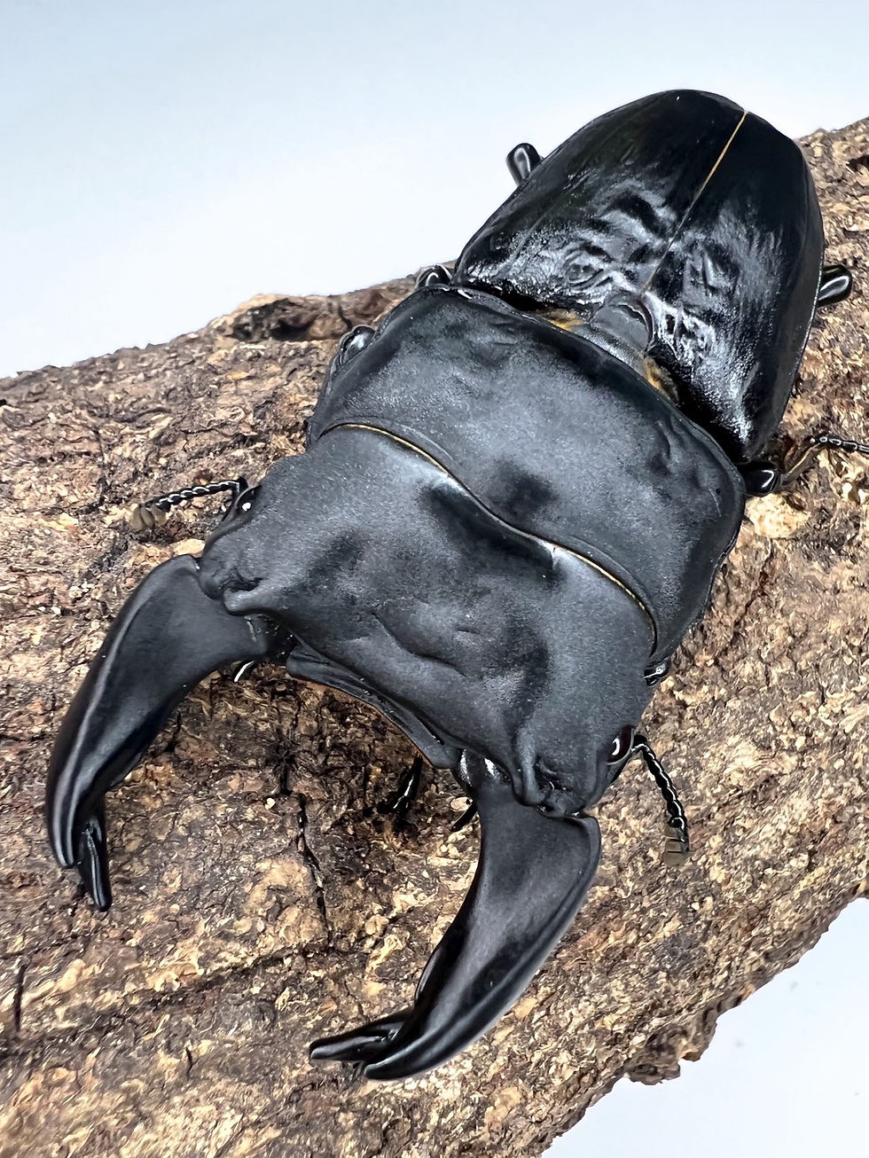 【2026年始福袋】10万円福袋