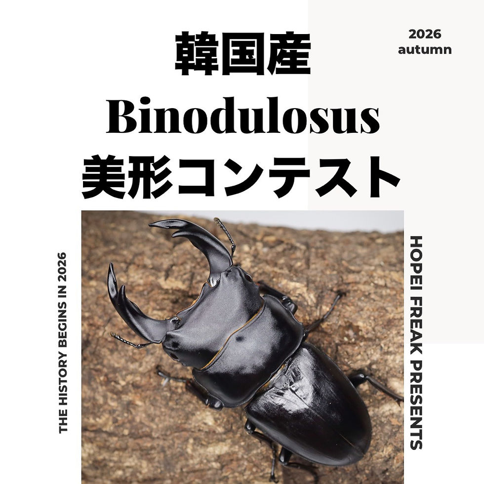 3種コンテスト、明日締め切り
