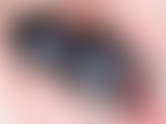 ☆譲渡済☆【24本店ストック成虫No.41】GX50-yyii8.1F➁